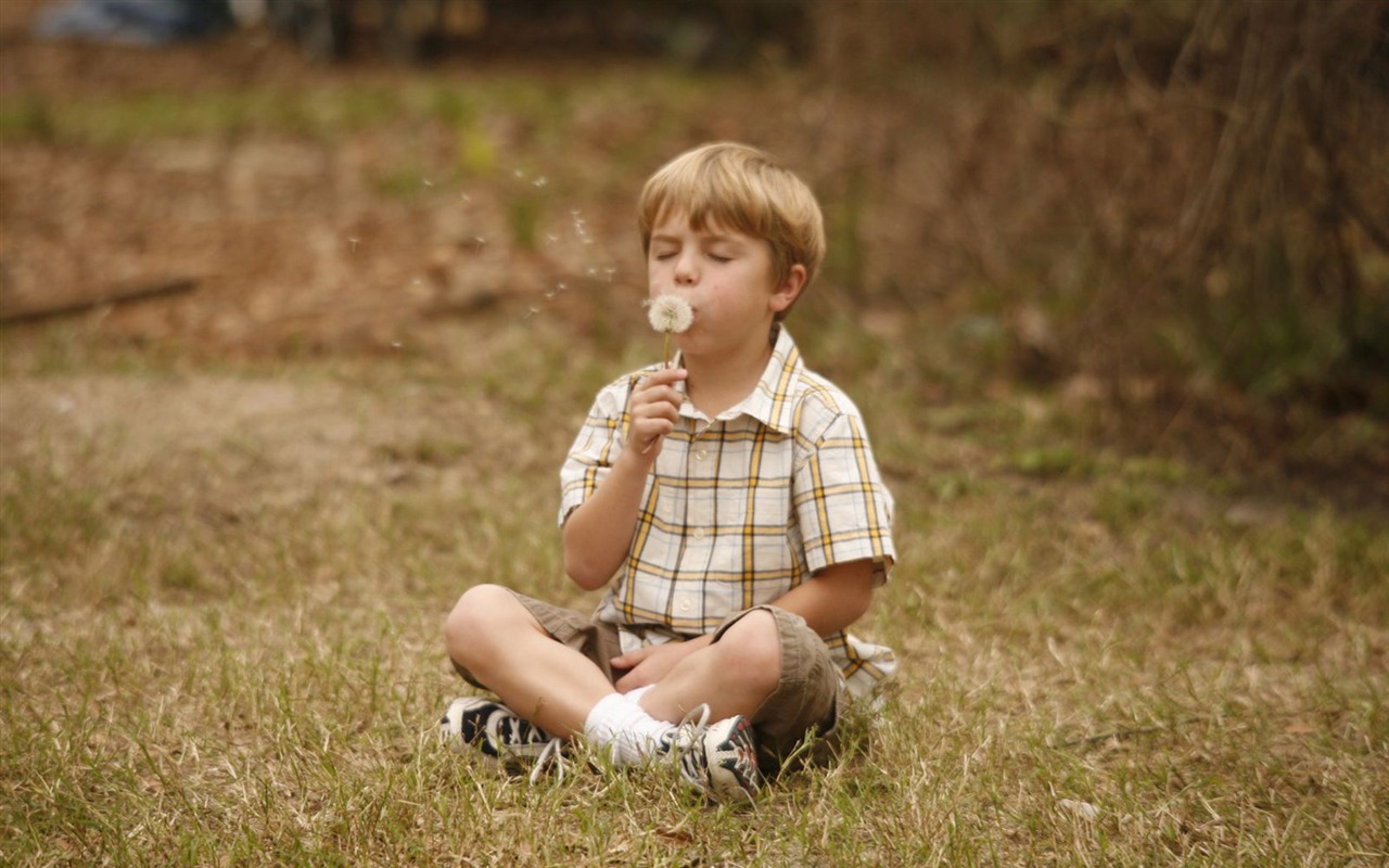 Like Dandelion Dust 蒲公英的灰尘 高清壁纸5 - 1280x800