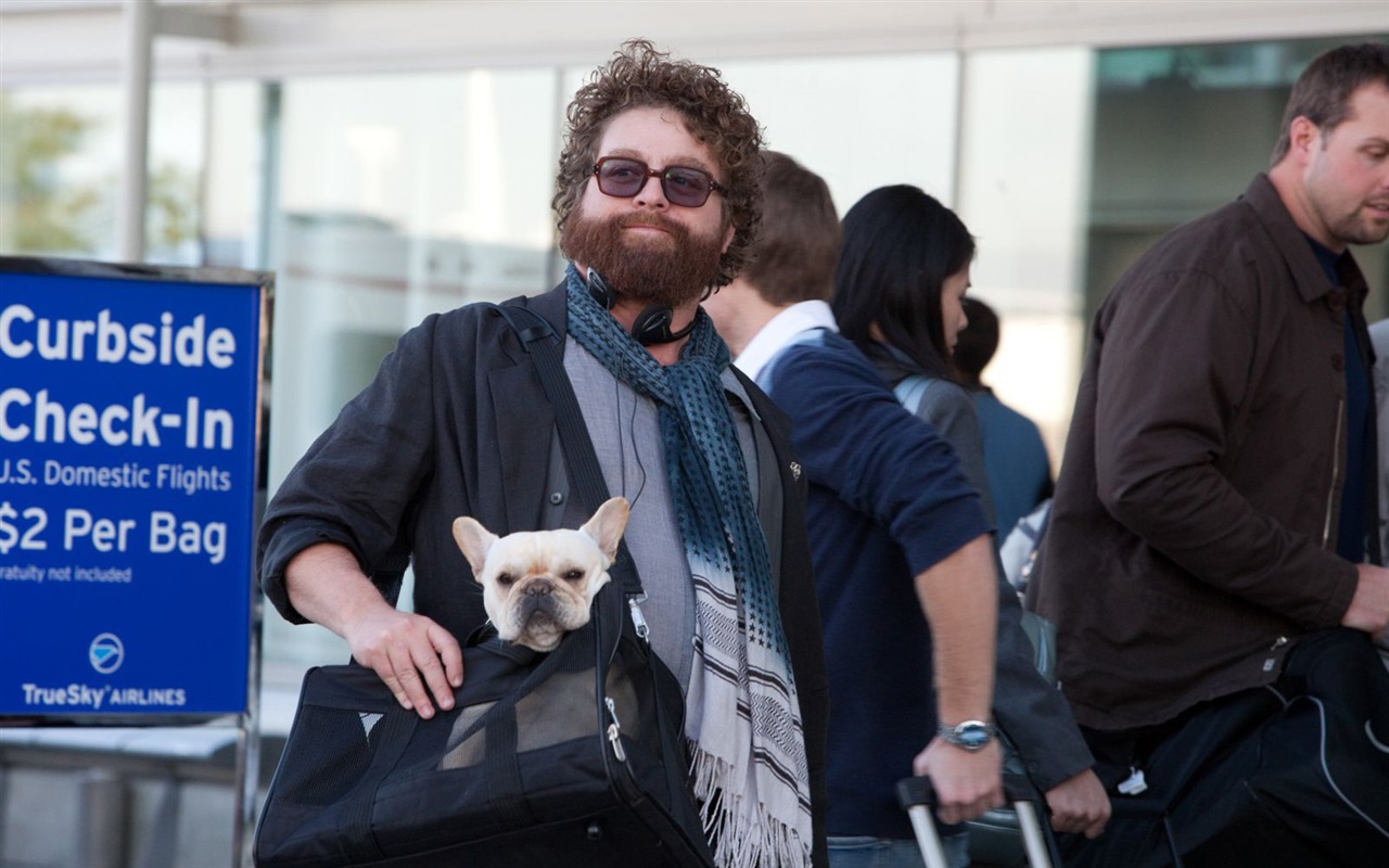 Due Date Wallpapers #1 - 1280x800