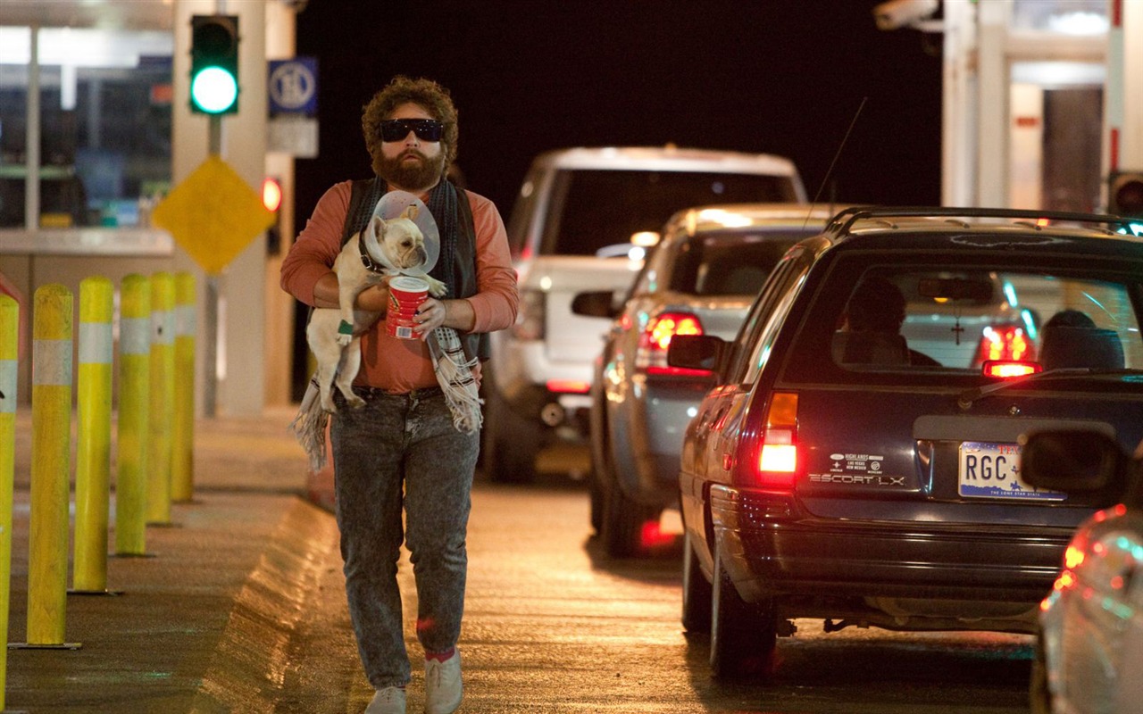 Due Date Wallpapers #13 - 1280x800