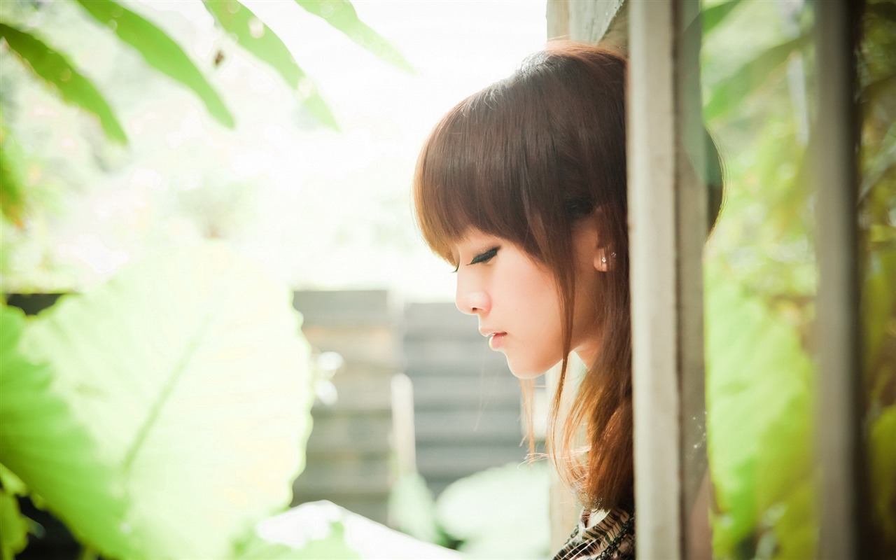 Tchaj-wan MM ovoce wallpaper album (9) #3 - 1280x800