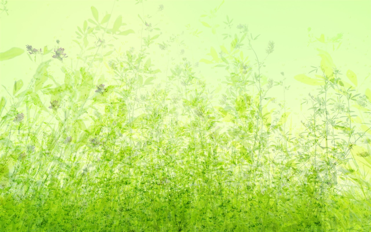 Green and Natural Wallpaper (4) #11 - 1280x800