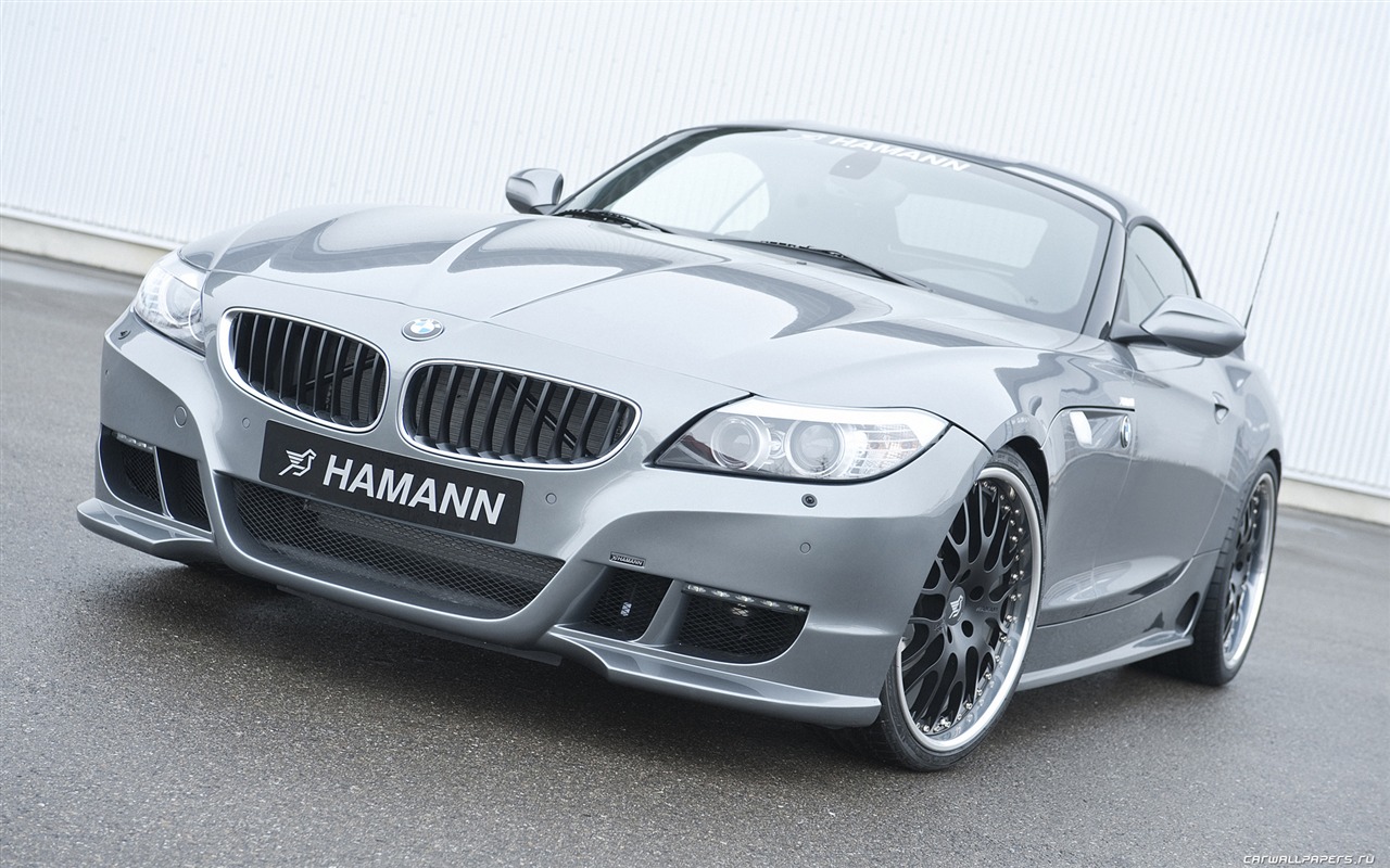 Hamann BMW Z4 E89 - 2010 HD tapetu #1 - 1280x800