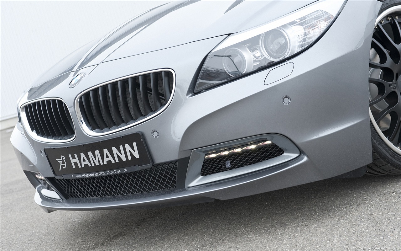 Hamann BMW Z4 E89 - 2010 寶馬 #16 - 1280x800