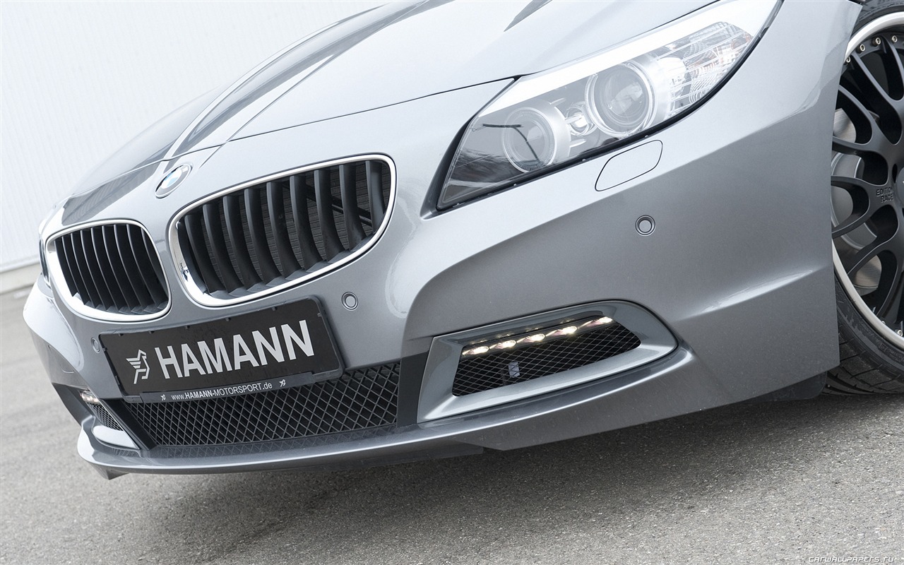 Hamann BMW Z4 E89 - 2010 HD tapetu #16 - 1280x800