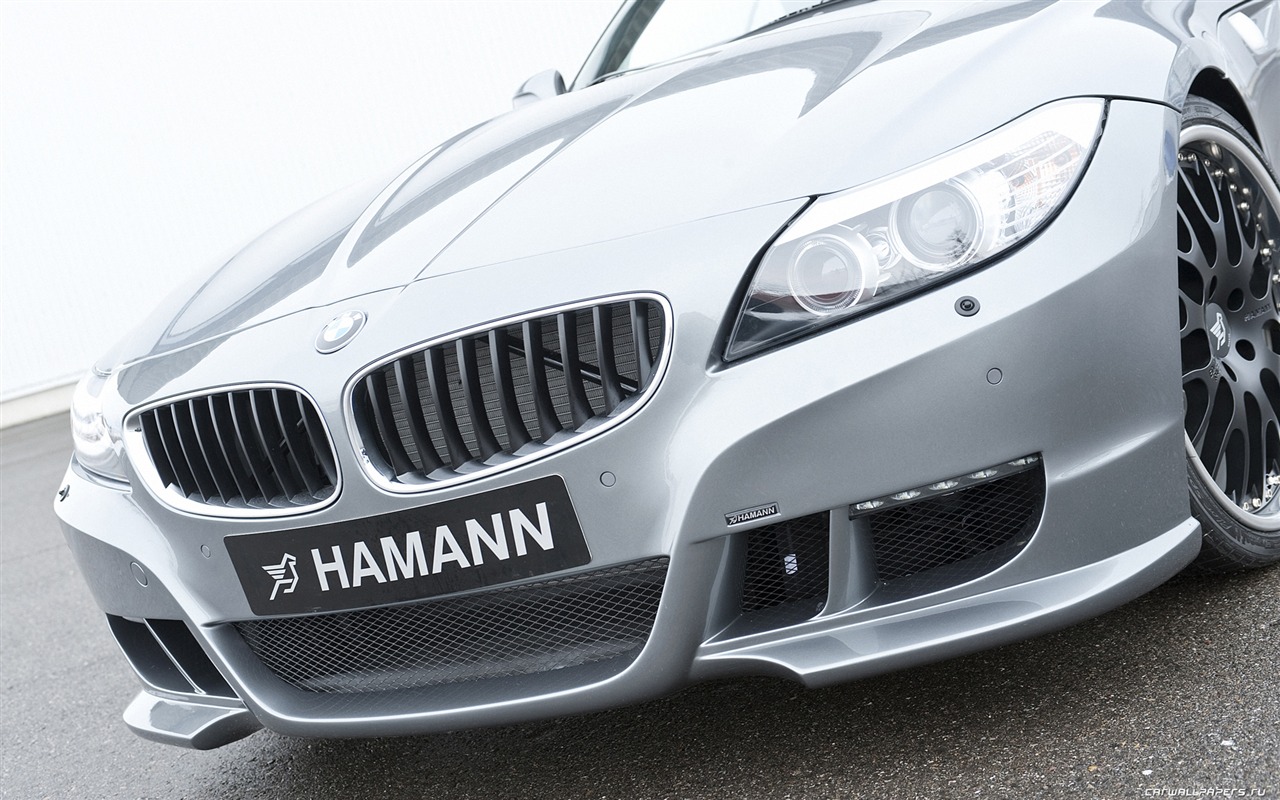 Hamann BMW Z4 E89 - 2010 HD wallpaper #17 - 1280x800