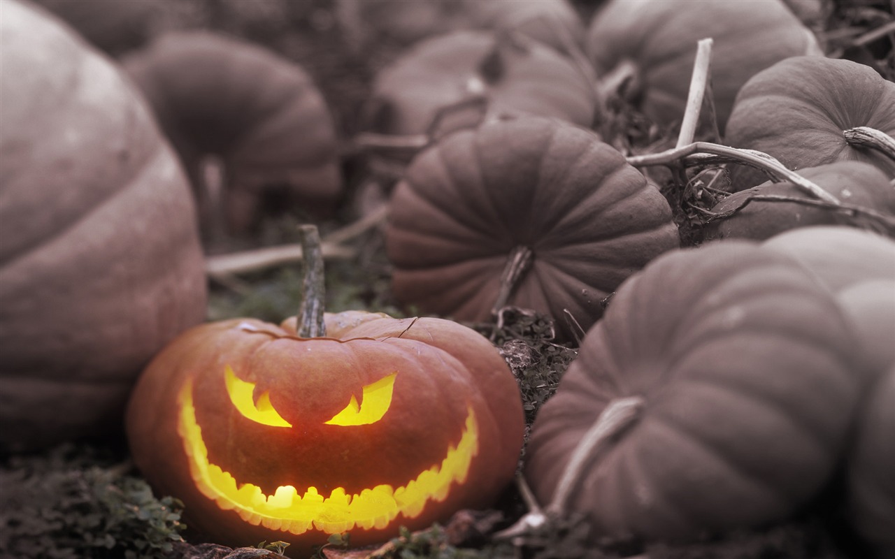 Windows7 Tapeta Halloween téma #1 - 1280x800