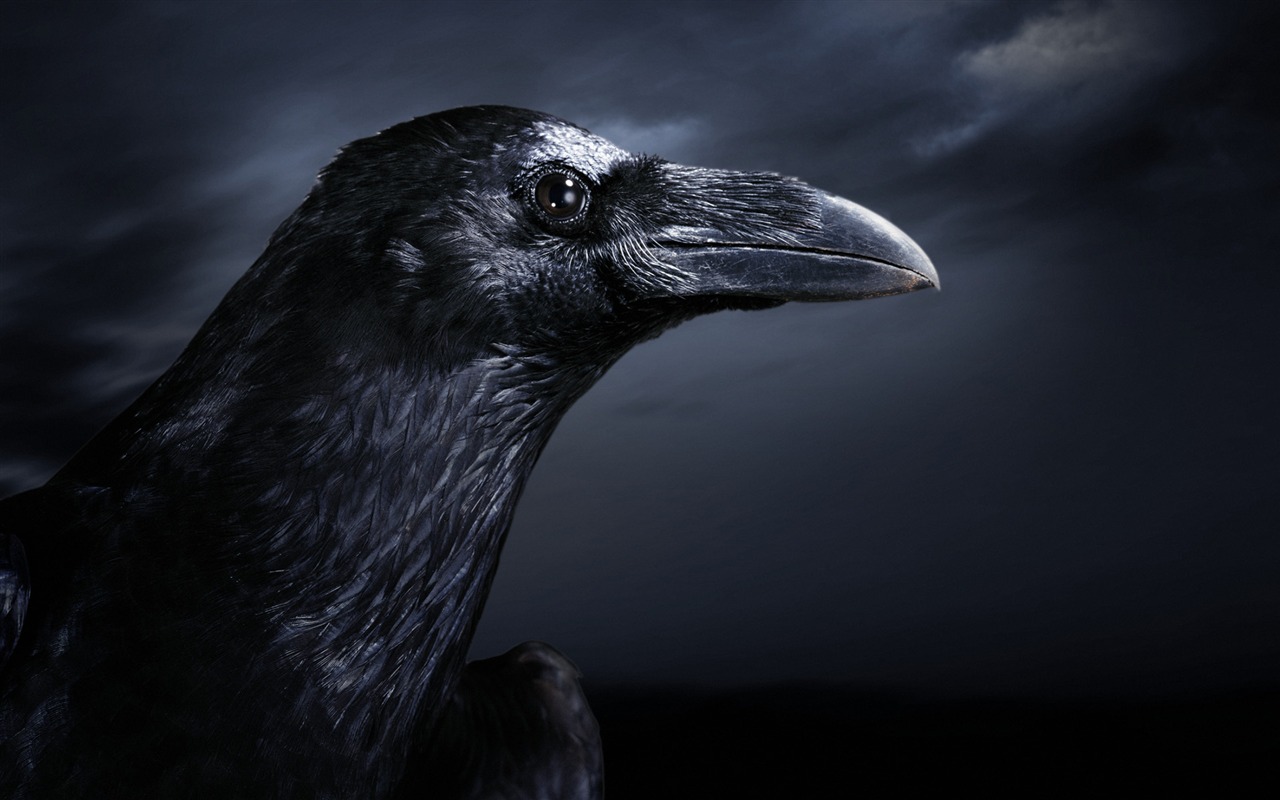 Windows7 Wallpaper Halloween Theme #3 - 1280x800