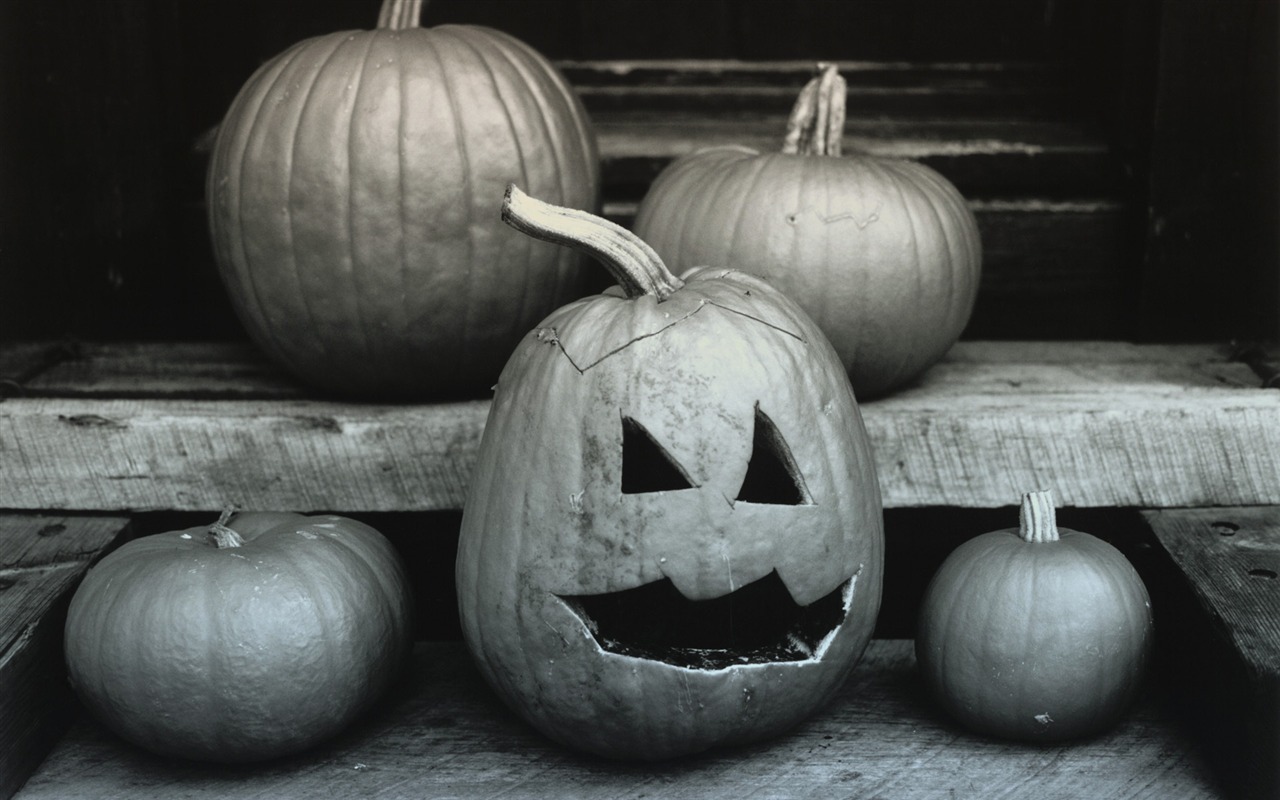 Windows7 Wallpaper Halloween Theme #7 - 1280x800