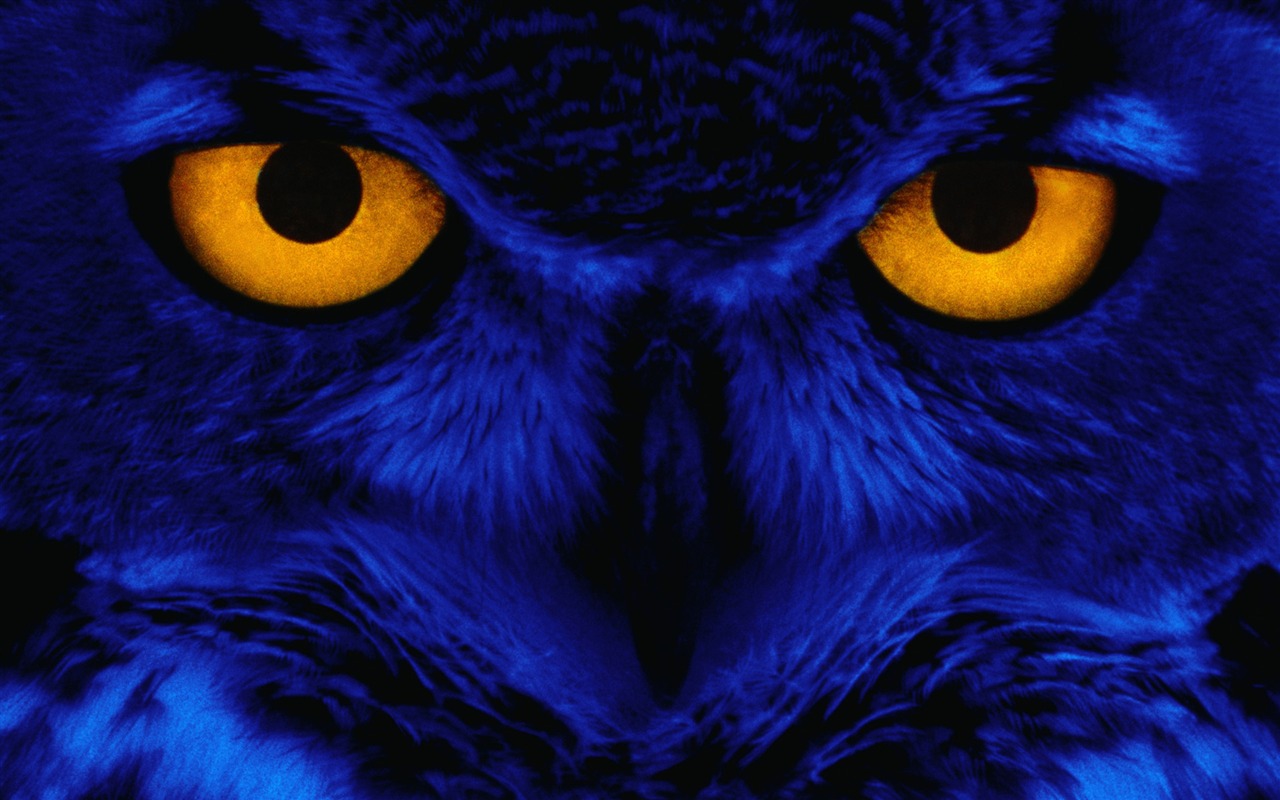 Windows7 Wallpaper Halloween Theme #8 - 1280x800