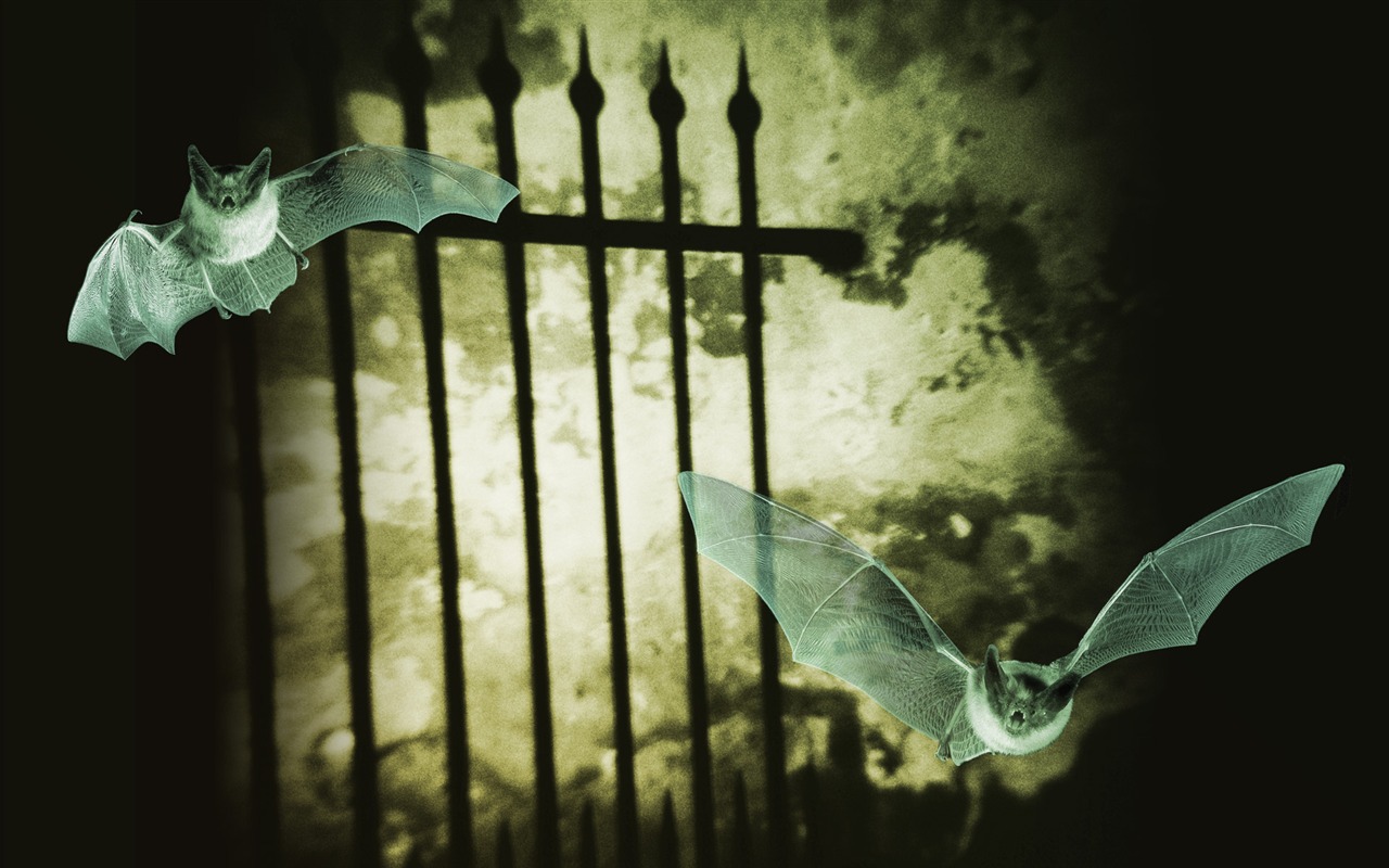 Windows7 Tapeta Halloween téma #10 - 1280x800