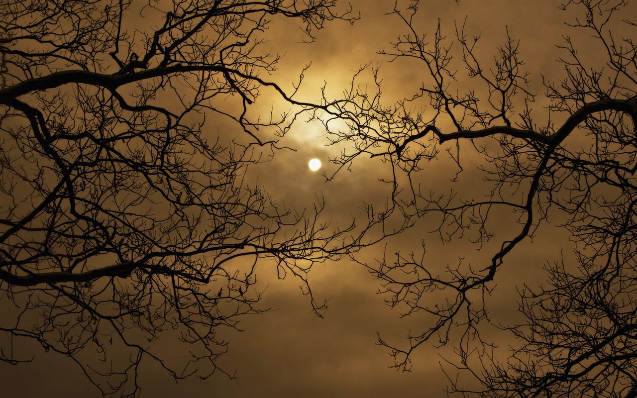 Windows7 Wallpaper Halloween Theme #15 - 1280x800