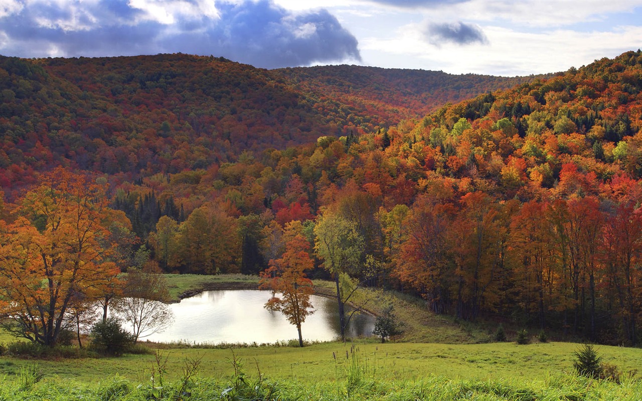 Tapety Krajina Kolekce (51) #8 - 1280x800