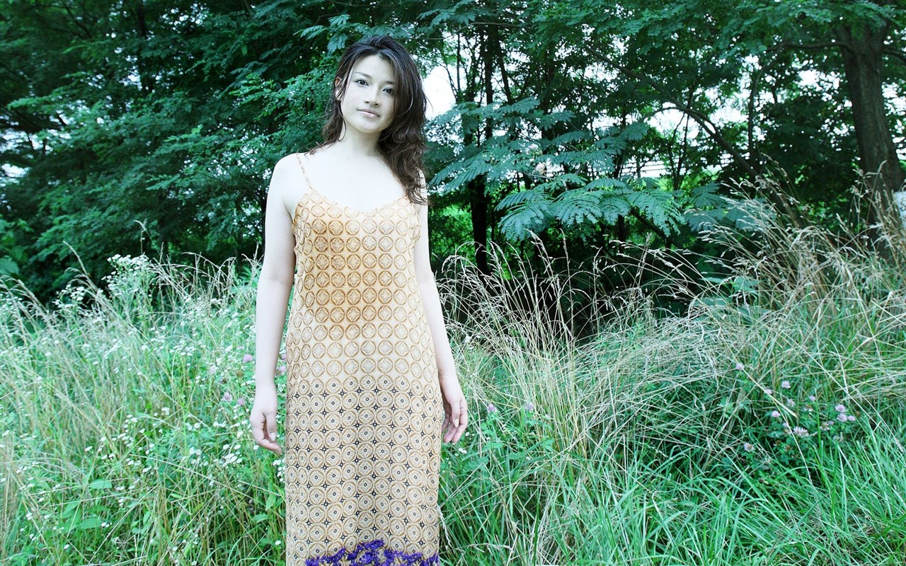 島崎和歌子 美女壁紙 #3 - 1280x800
