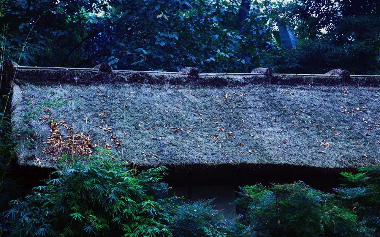 Chengdu Impression wallpaper (2) #16 - 1280x800