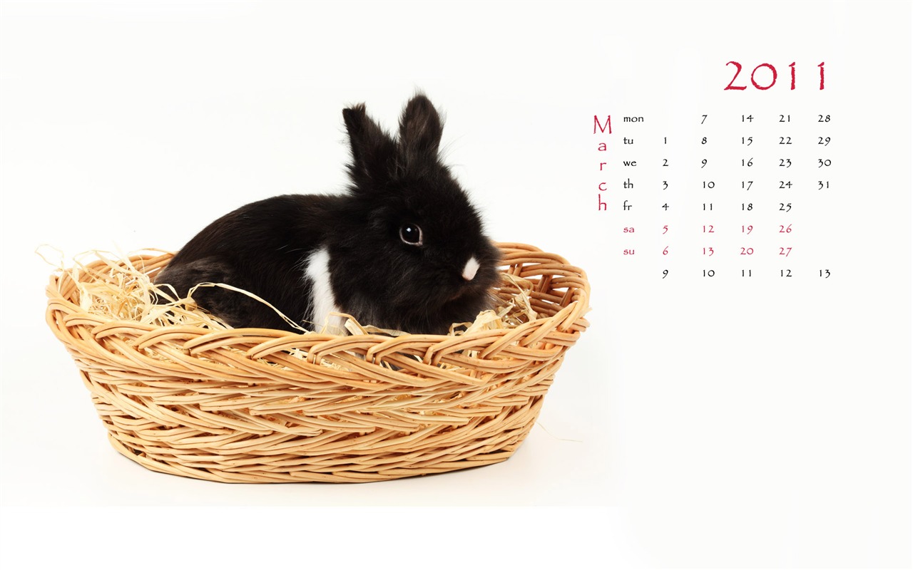 Year of the Rabbit 2011 calendar wallpaper (1) #3 - 1280x800