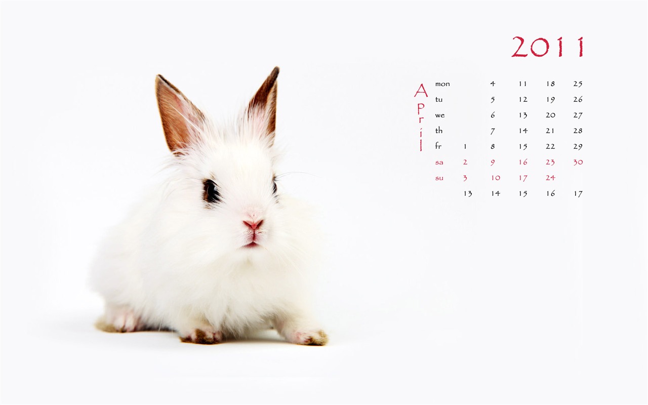 Year of the Rabbit 2011 calendar wallpaper (1) #4 - 1280x800