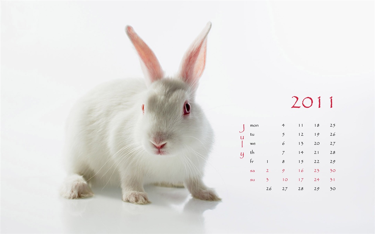 Year of the Rabbit 2011 calendar wallpaper (1) #7 - 1280x800