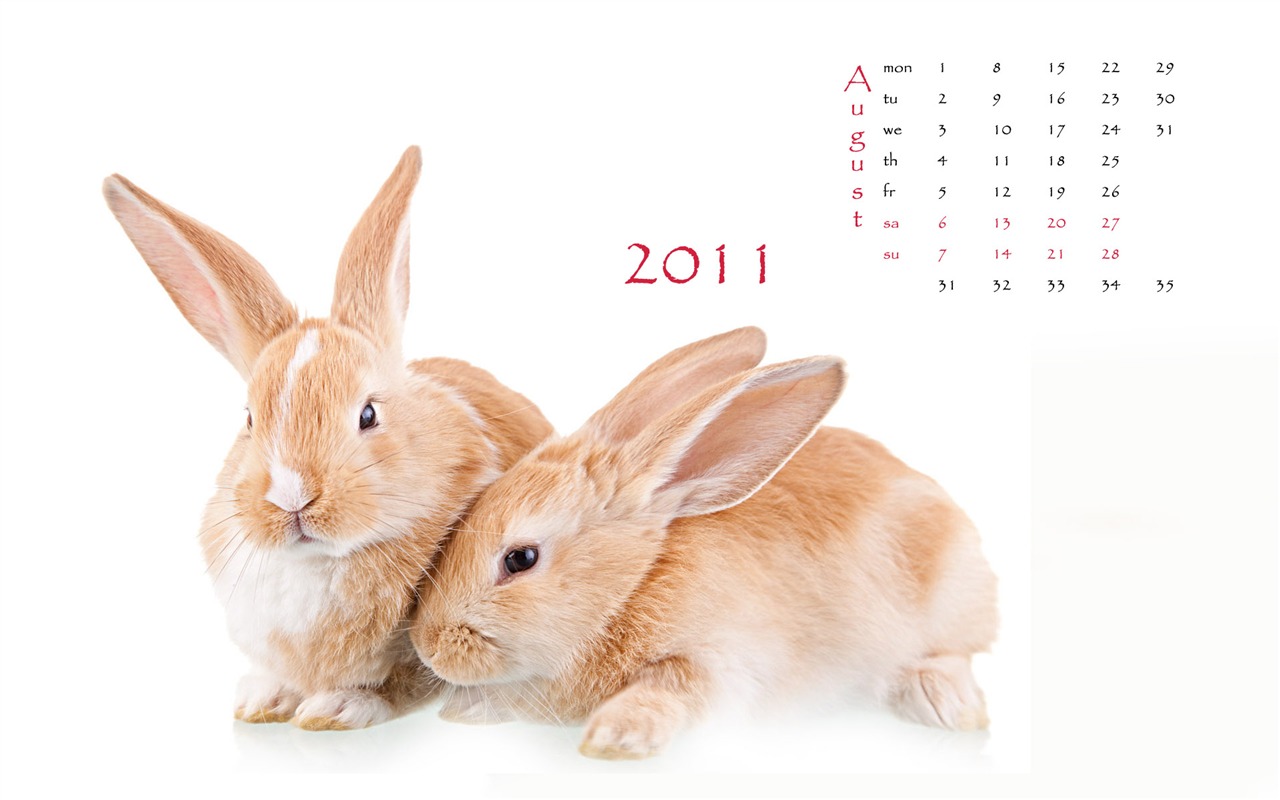 Year of the Rabbit 2011 calendar wallpaper (1) #8 - 1280x800