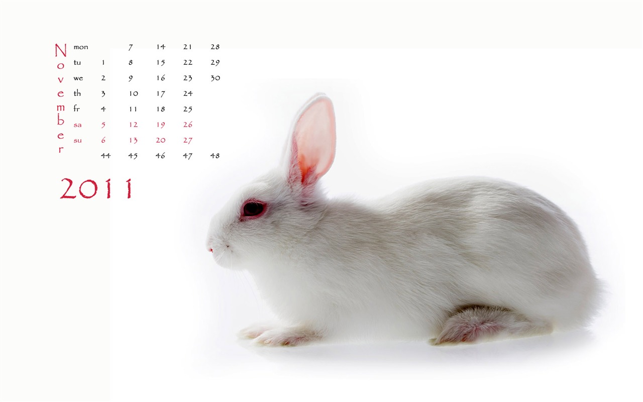 Year of the Rabbit 2011 calendar wallpaper (1) #11 - 1280x800