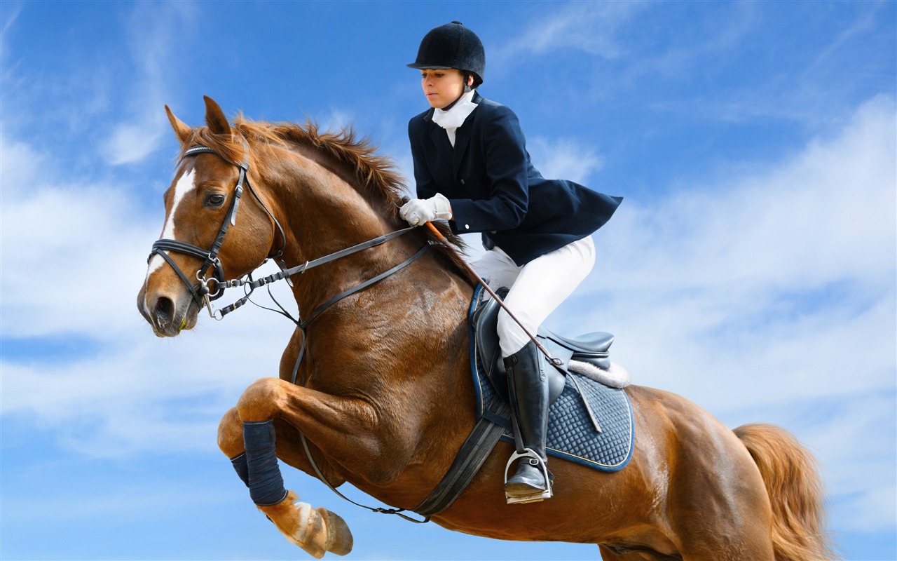 Super horse photo wallpaper (1) #4 - 1280x800