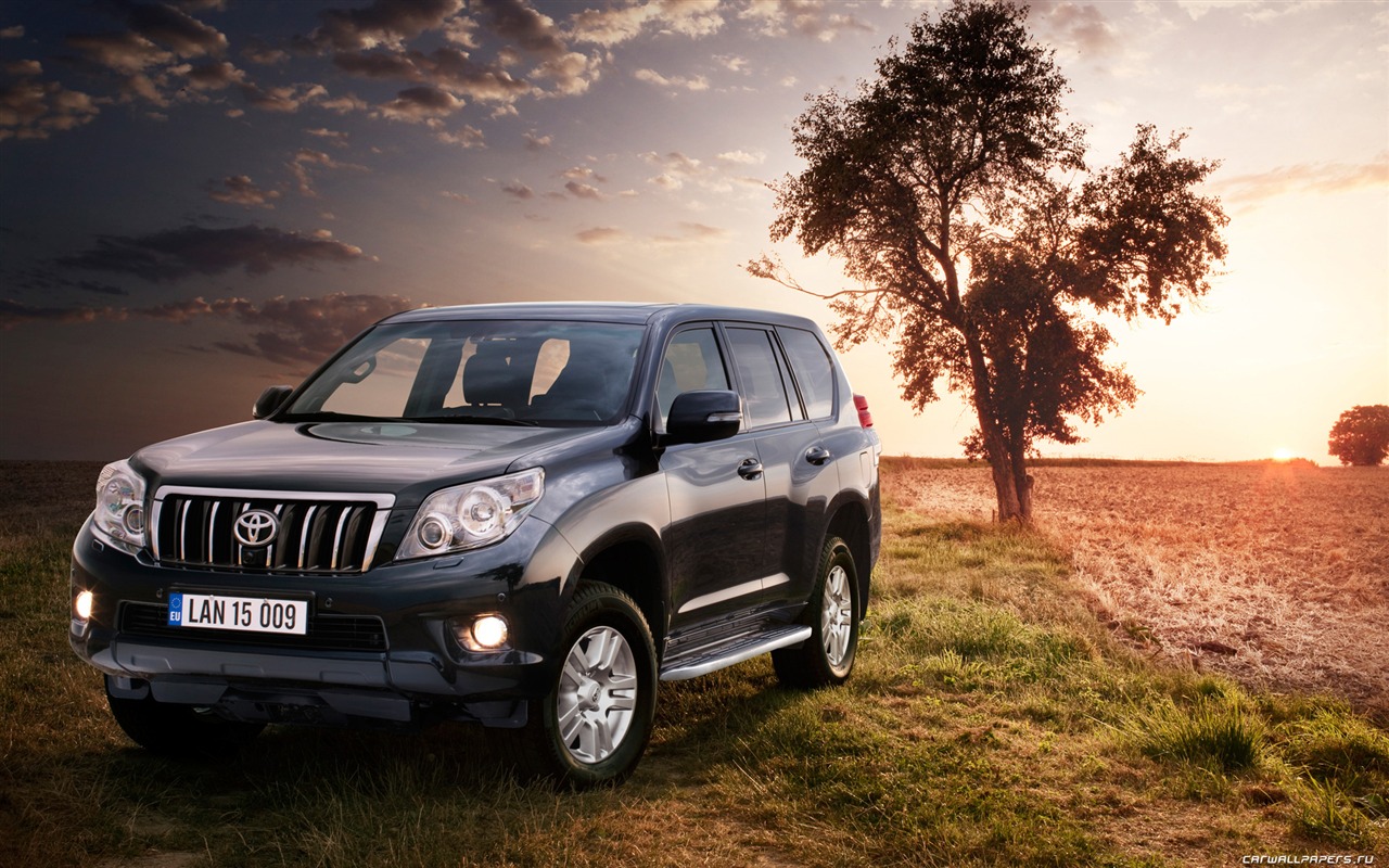 Toyota Land Cruiser Prado - 2009 HD Wallpaper #1 - 1280x800