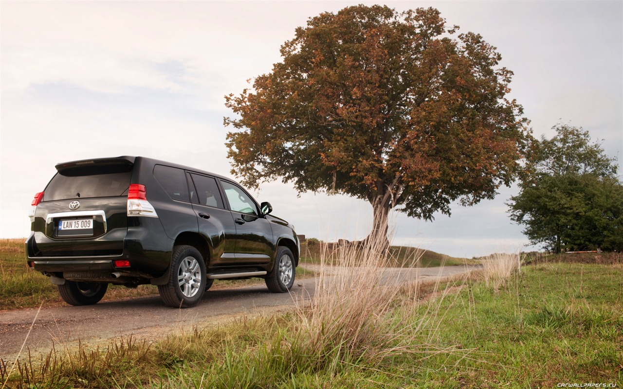 Toyota Land Cruiser Prado - 2009 HD tapetu #25 - 1280x800