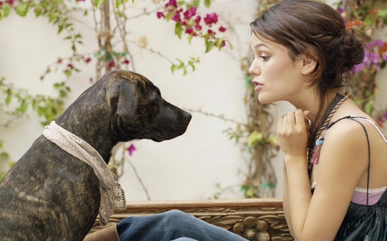 Rachel Bilson beautiful wallpaper (3) #31 - 1280x800