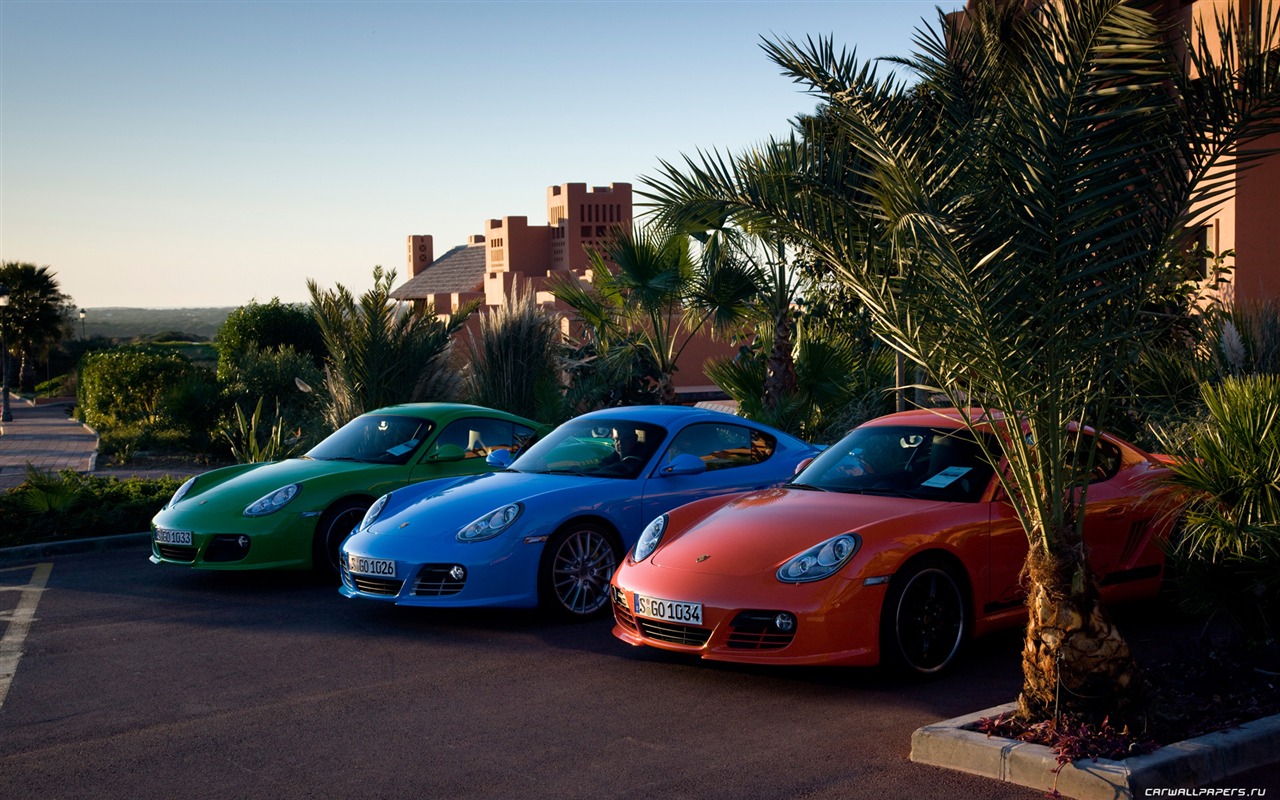 Porsche Cayman S - 2009 保時捷 #24 - 1280x800