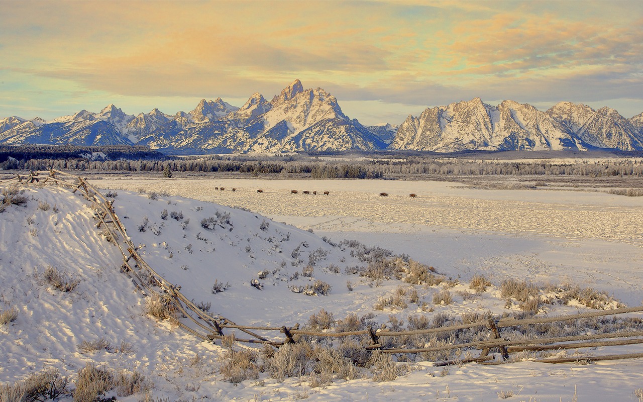 寬屏雪景 壁紙(三) #4 - 1280x800