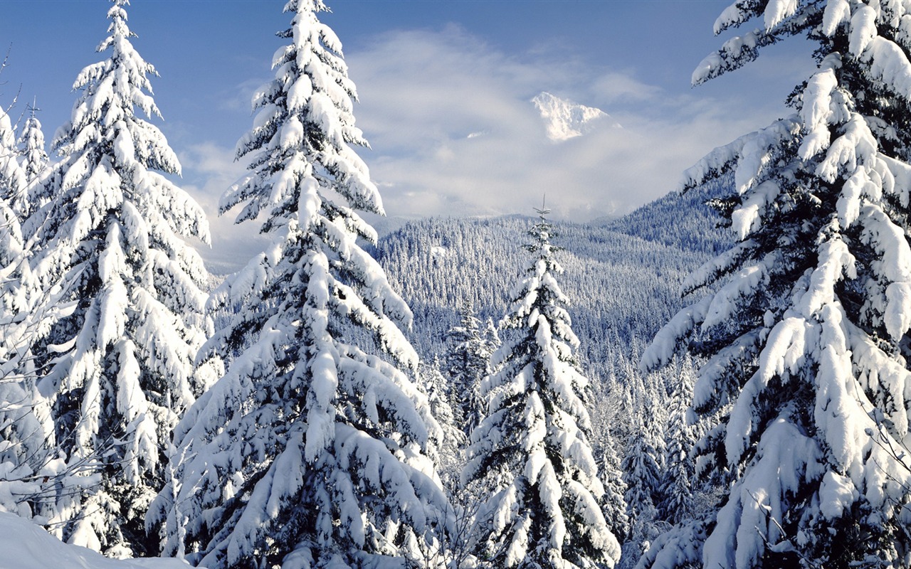 Snow widescreen wallpaper (4) #5 - 1280x800