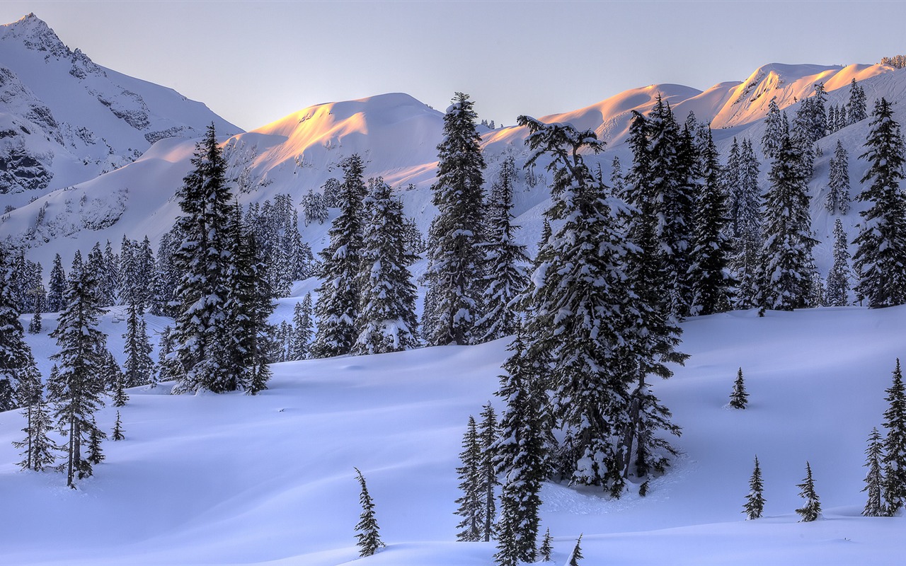 宽屏雪景 壁纸(四)14 - 1280x800