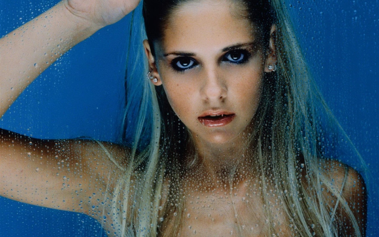 Sarah Michelle Gellar beautiful wallpaper (1) #10 - 1280x800