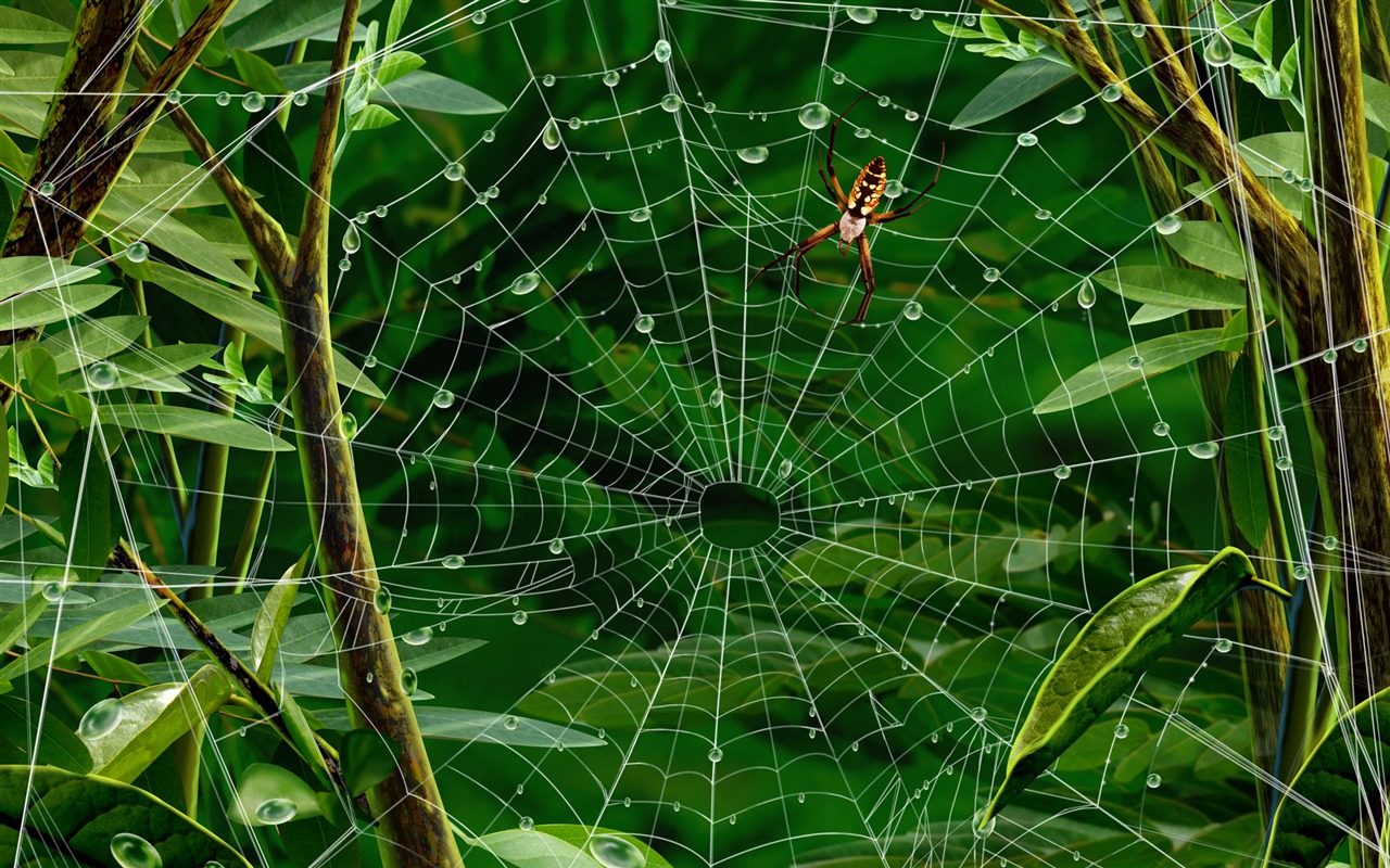 Colorido fondo de pantalla pintados a mano ecología del paisaje (3) #2 - 1280x800