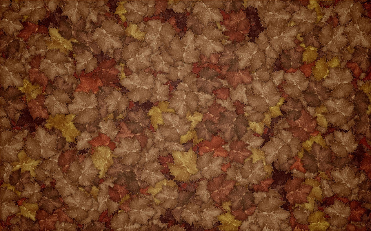 Vladstudio 壁紙專輯(17) #18 - 1280x800