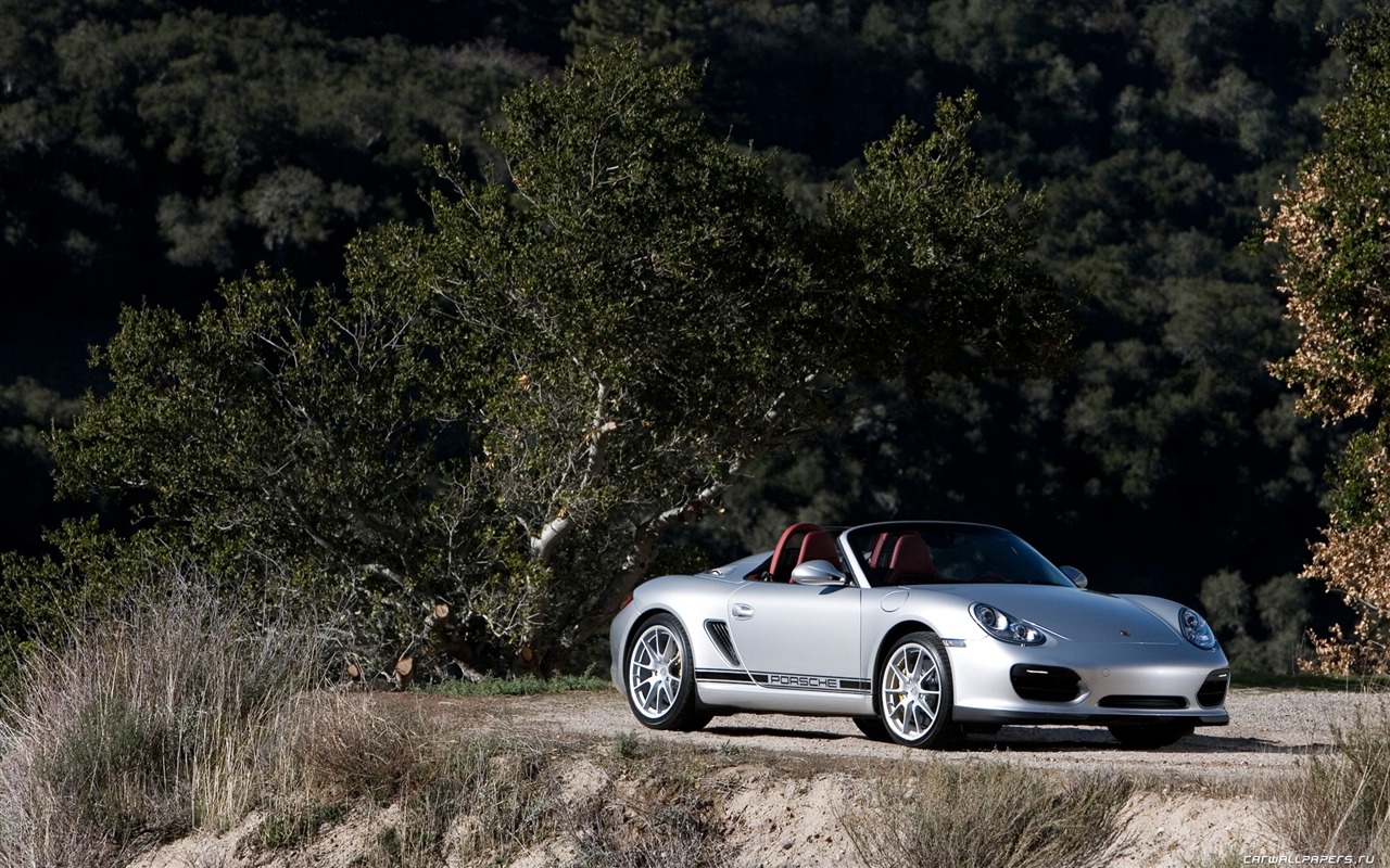 Porsche Boxster Spyder - 2010 HD tapetu #47 - 1280x800