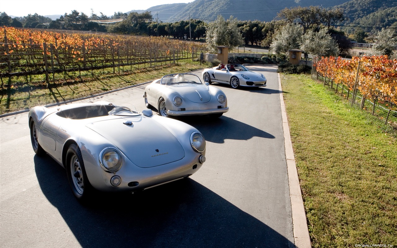 Porsche Boxster Spyder - 2010 HD wallpaper #53 - 1280x800