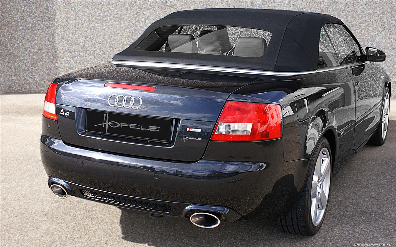 Hofele Audi A4 B6 B7 奥迪10 - 1280x800