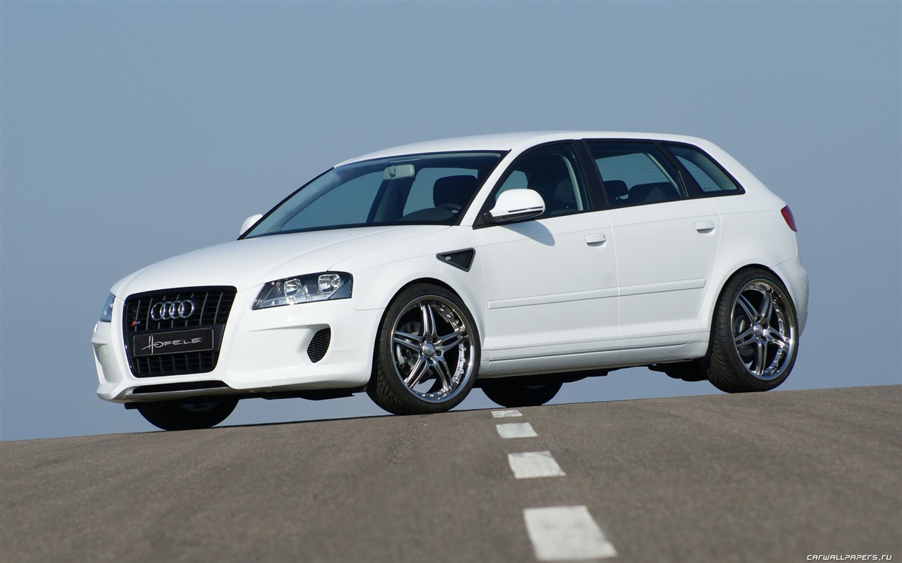 Hofele Audi A3 S3 8PA A4 B6 Cabrio A5 B8 Coupe 奥迪14 - 1280x800