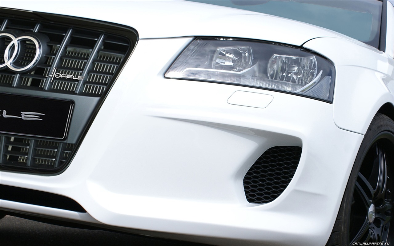 Hofele Audi A3 S3 8PA A4 B6 Cabrio A5 B8 Coupe 奧迪 #19 - 1280x800