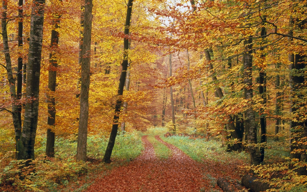 Tapety Krajina Kolekce (64) #17 - 1280x800