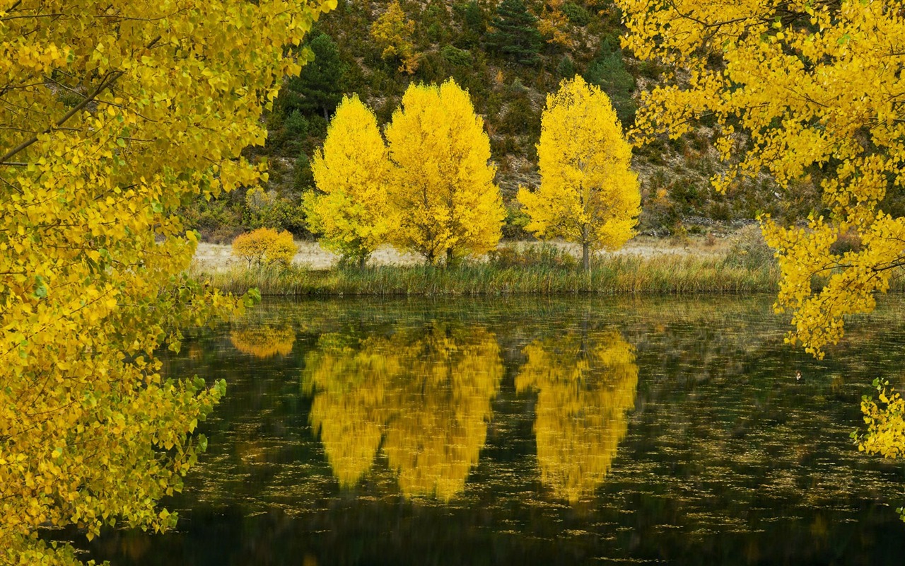 風景コレクションの壁紙 (65) #17 - 1280x800