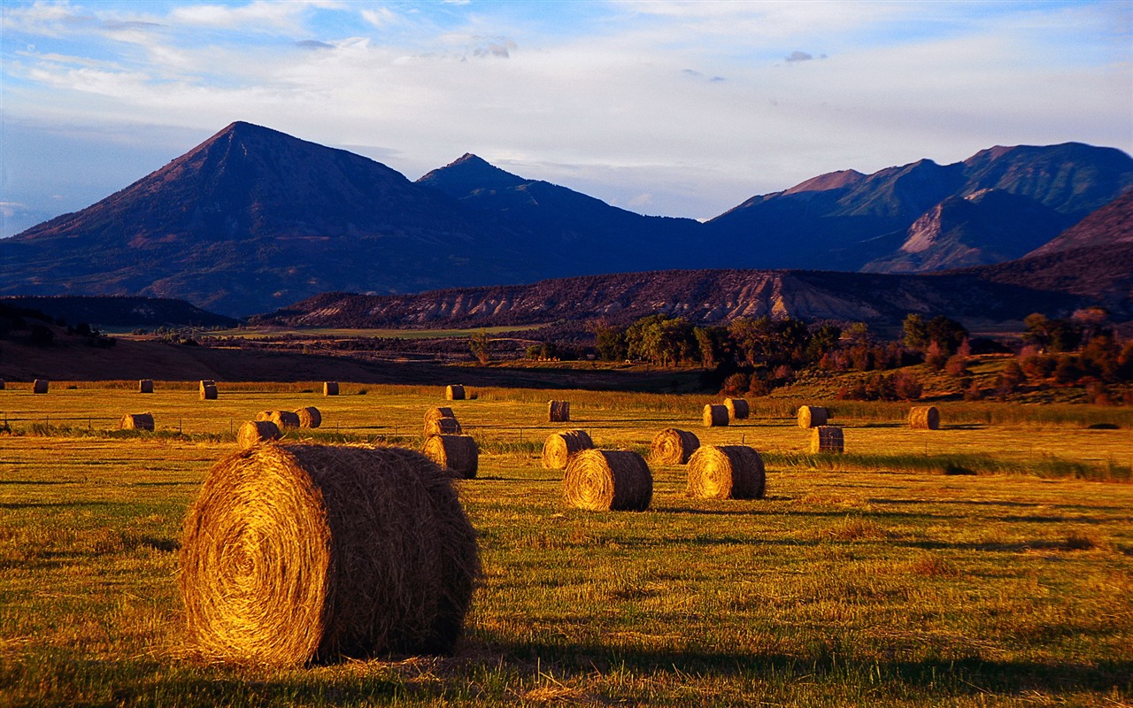 Autumn harvest wallpaper #5 - 1280x800