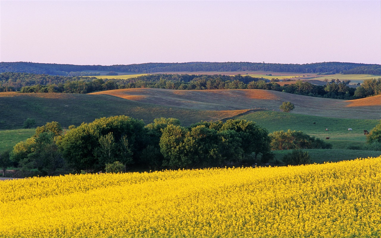 Podzimní sklizeň tapety #18 - 1280x800