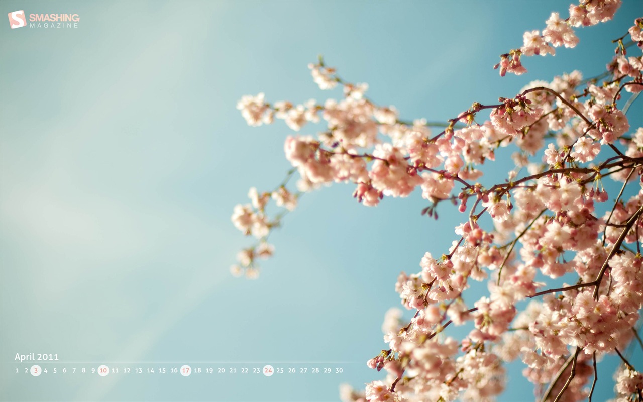 April 2011 Calendar Wallpaper (1) #19 - 1280x800