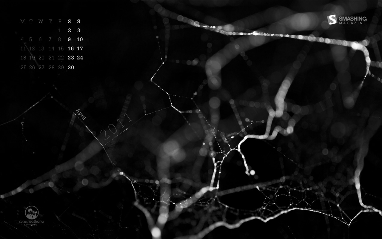 2011年4月 月曆壁紙(二) #5 - 1280x800