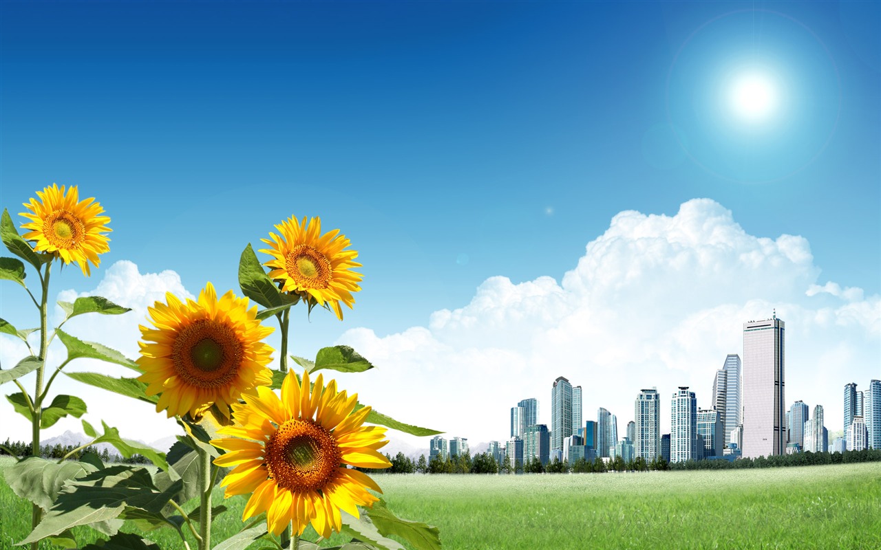 Photoshop sonnigen Sommertag Landschaft Wallpaper (1) #16 - 1280x800