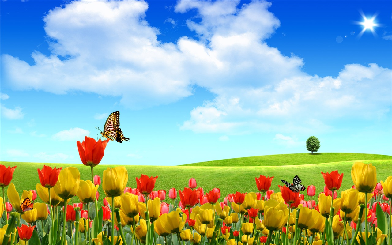 Photoshop sonnigen Sommertag Landschaft Wallpaper (1) #19 - 1280x800