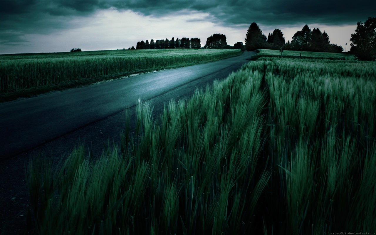 Dark color landscape wallpaper (2) #6 - 1280x800