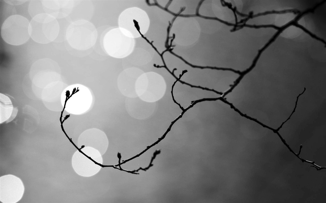 Ubuntu Systém tapety (2) #11 - 1280x800