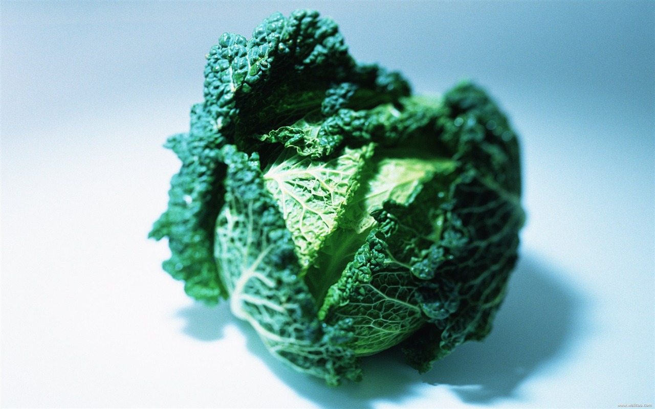 Fond d'écran vert des légumes sains #10 - 1280x800